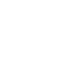 Alternataux logo